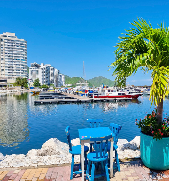 marina filled with board with a palm tree and sky rise buildings in the background