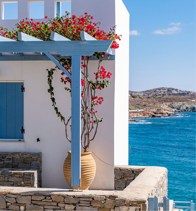 white rendered house with blue porch covered in a vine of flowers overlooking the ocean 