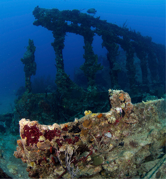 RMS Rhone Shipwreck, British Virgin Islands