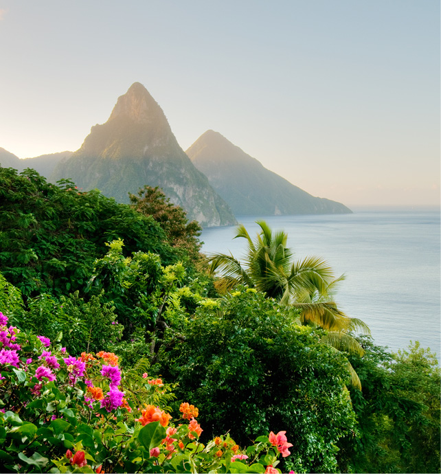  A stunning shot at dusk, overlooking palm trees towards the Pitons of St. Lucia